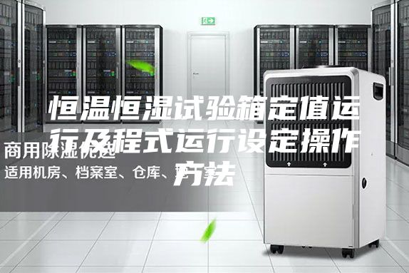 恒温恒湿试验箱定值运行及程式运行设定操作方法