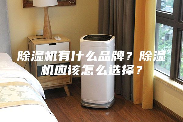 除湿机有什么品牌？除湿机应该怎么选择？