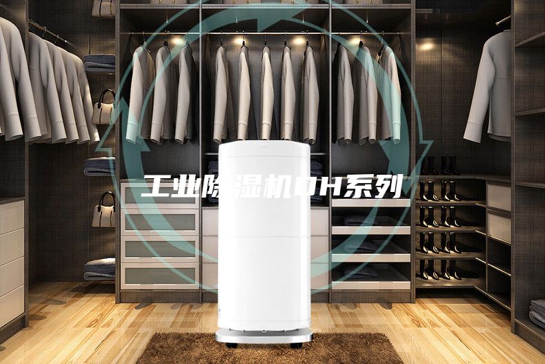 工业除湿机DH系列
