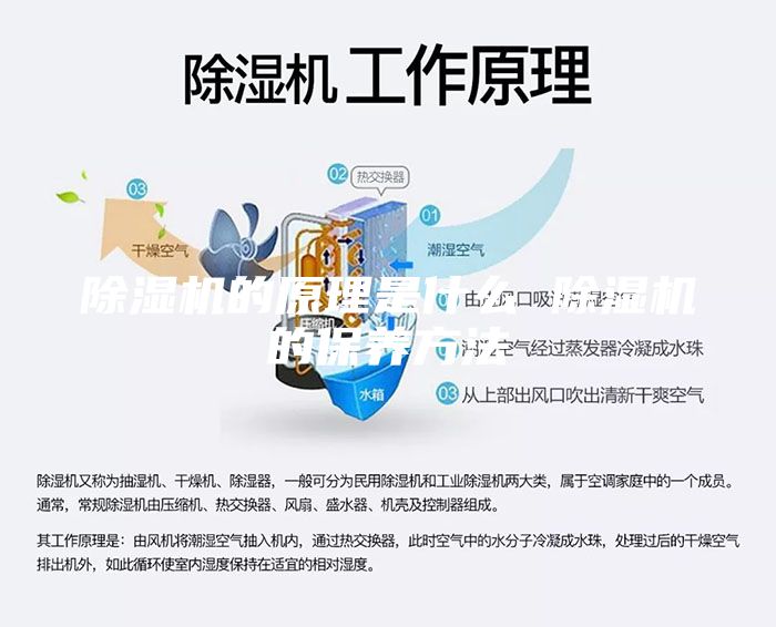除湿机的原理是什么 除湿机的保养方法