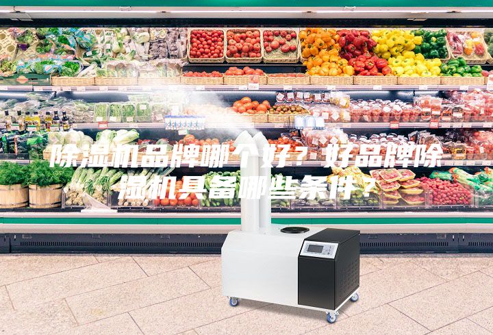 除湿机品牌哪个好？好品牌除湿机具备哪些条件？