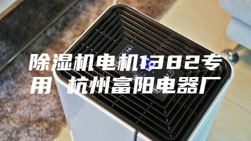 除湿机电机1382专用 杭州富阳电器厂