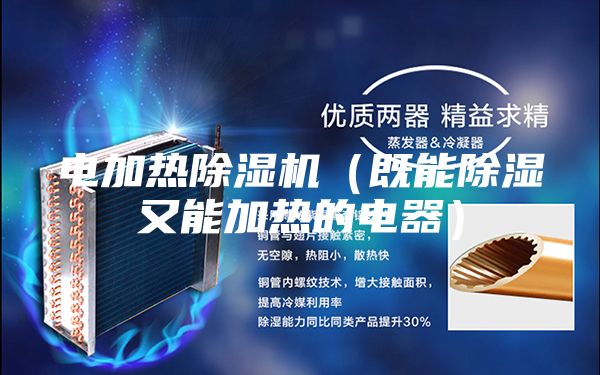 电加热除湿机（既能除湿又能加热的电器）