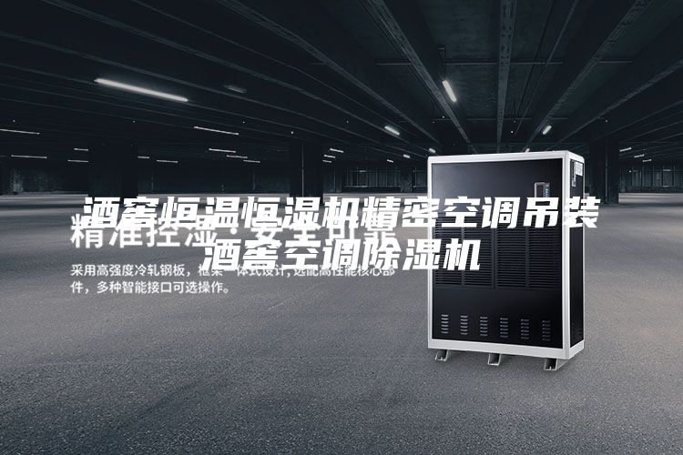 酒窖恒温恒湿机精密空调吊装酒窖空调除湿机
