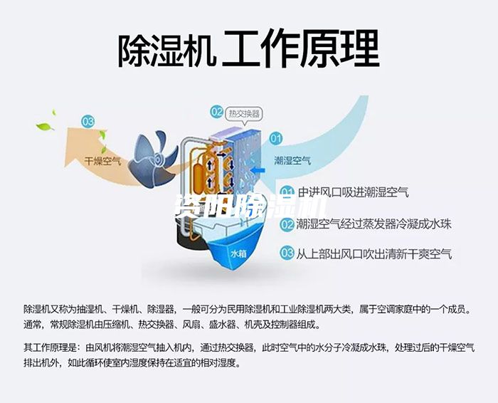 资阳除湿机