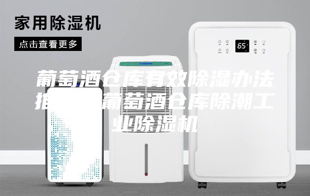 葡萄酒仓库有效除湿办法推荐？葡萄酒仓库除潮工业除湿机
