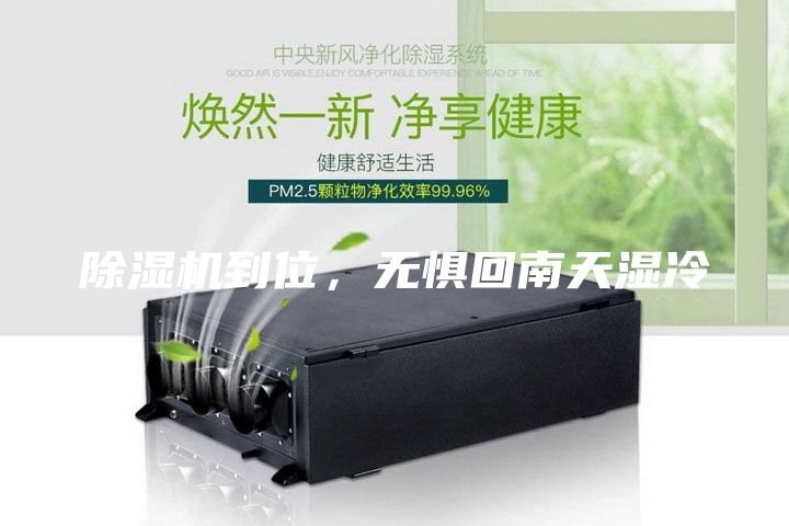 除湿机到位，无惧回南天湿冷