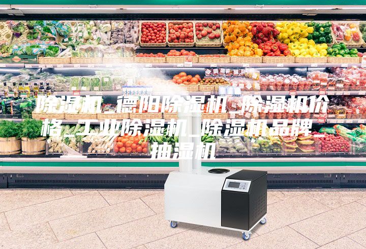 除湿机_德阳除湿机_除湿机价格_工业除湿机_除湿机品牌_抽湿机