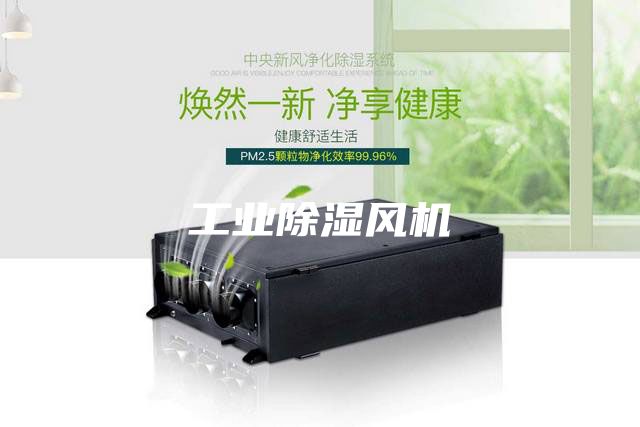工业除湿风机