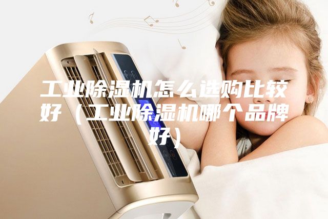 工业除湿机怎么选购比较好（工业除湿机哪个品牌好）