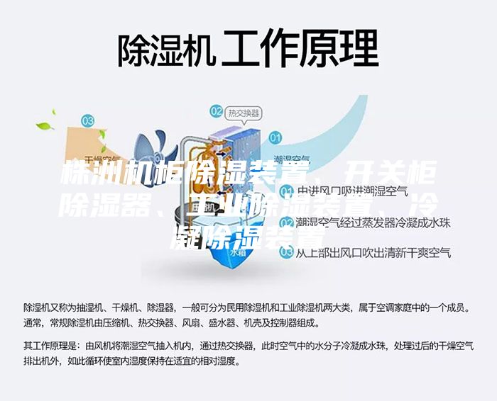 株洲机柜除湿装置、开关柜除湿器、工业除湿装置、冷凝除湿装置