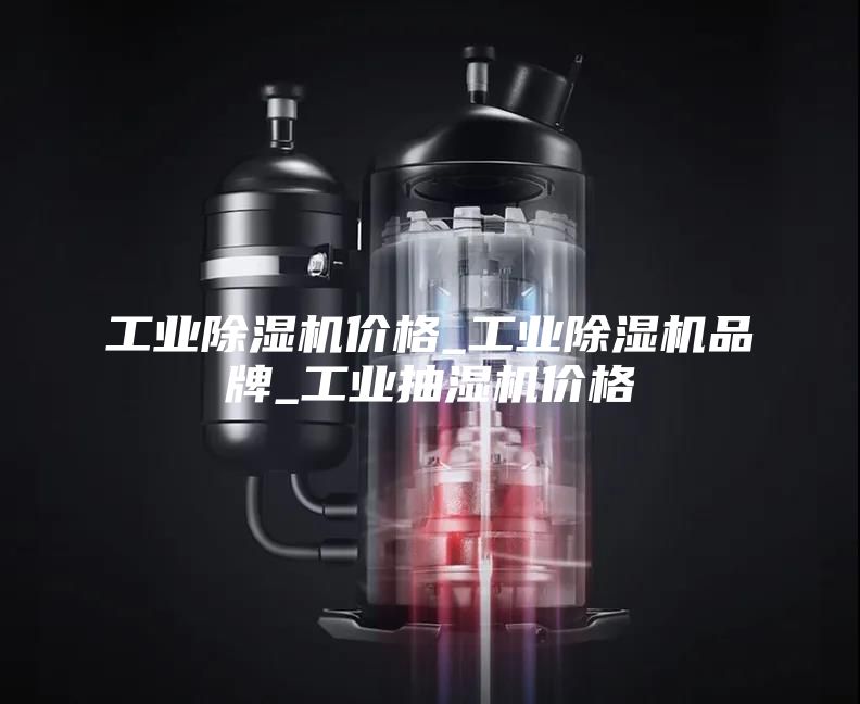 工业除湿机价格_工业除湿机品牌_工业抽湿机价格