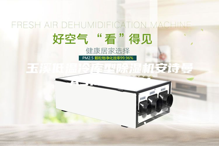 玉溪低温冷库型除湿机安诗曼ASM10ASM
