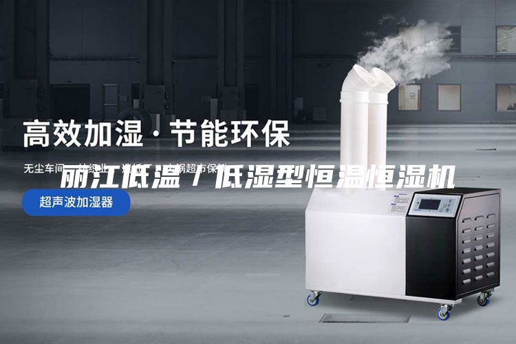 丽江低温／低湿型恒温恒湿机