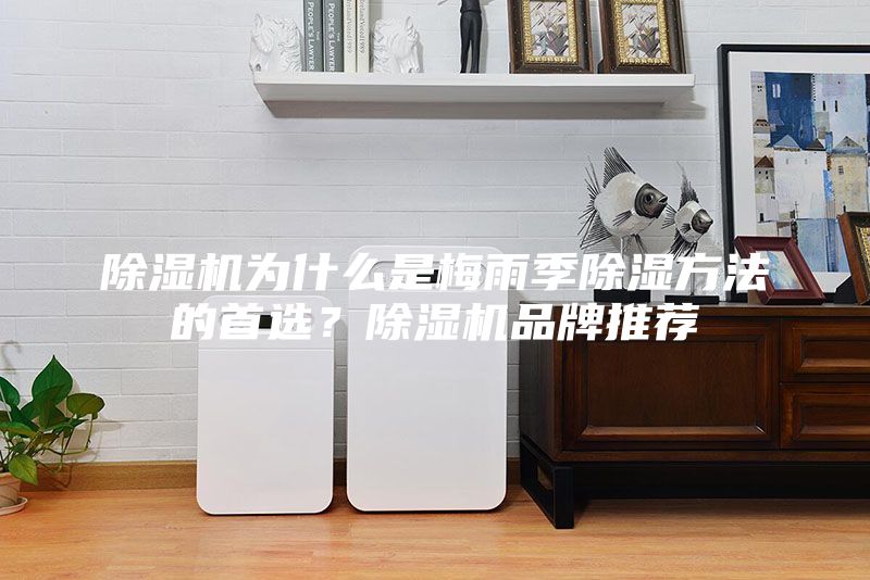 除湿机为什么是梅雨季除湿方法的首选？除湿机品牌推荐