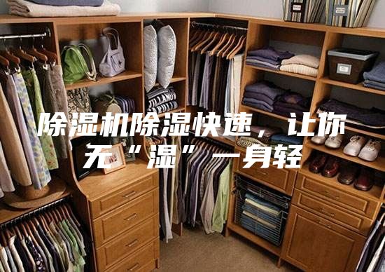 除湿机除湿快速，让你无“湿”一身轻