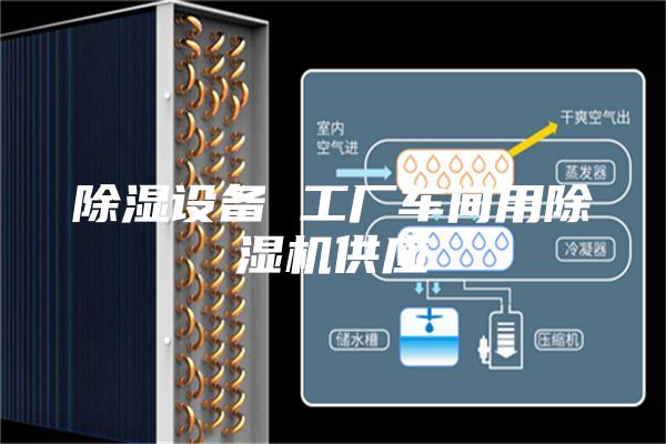 除湿设备 工厂车间用除湿机供应