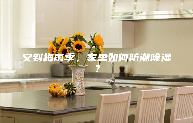 又到梅雨季，家里如何防潮除湿？