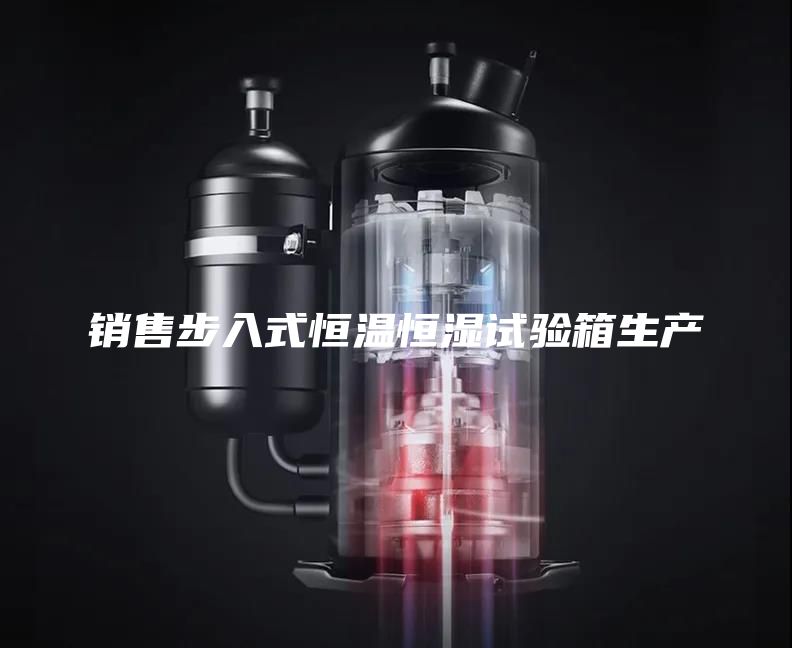 销售步入式恒温恒湿试验箱生产