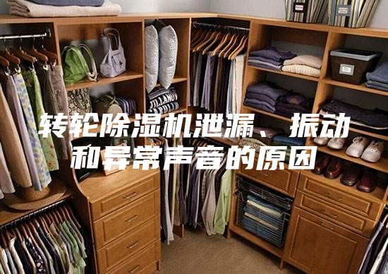 转轮除湿机泄漏、振动和异常声音的原因