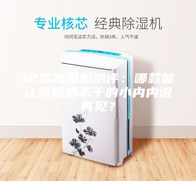 12款除湿机测评：哪款能让你跟晒不干的小内内说再见？