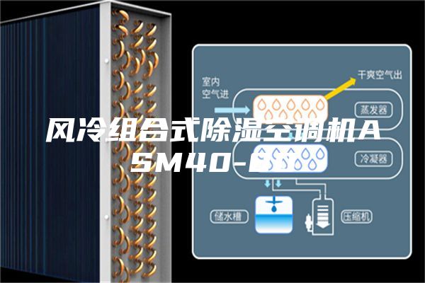 风冷组合式除湿空调机ASM40-80