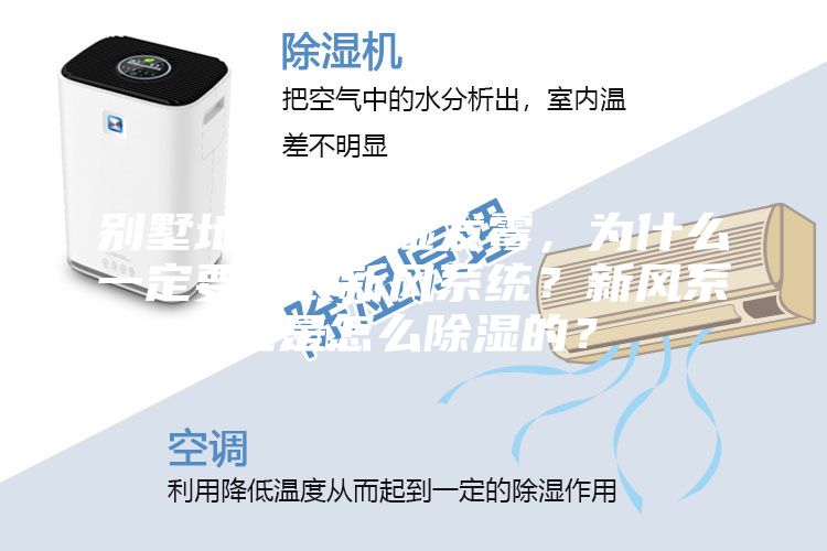 别墅地下室潮湿发霉，为什么一定要安装新风系统？新风系统是怎么除湿的？