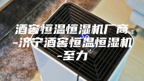 酒窖恒温恒湿机厂商-济宁酒窖恒温恒湿机-至力
