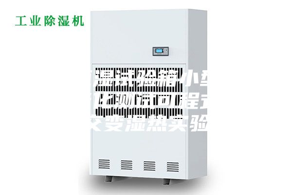 恒温恒湿试验箱小型低温环境老化测试可程式高低温交变湿热实验箱