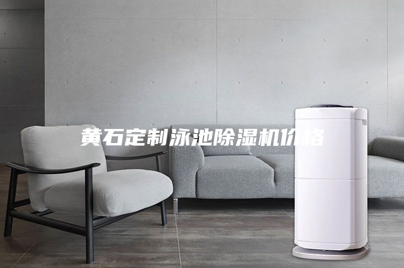 黄石定制泳池除湿机价格