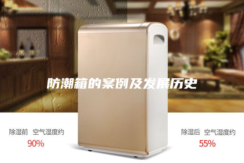 防潮箱的案例及发展历史