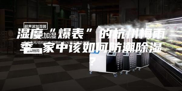 湿度“爆表”的杭州梅雨季 家中该如何防潮除湿？