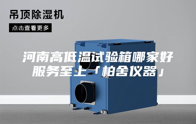 河南高低温试验箱哪家好服务至上「柏舍仪器」
