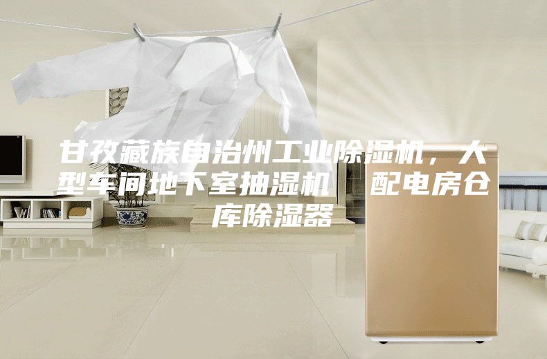 甘孜藏族自治州工业除湿机，大型车间地下室抽湿机  配电房仓库除湿器