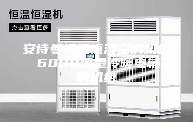 安诗曼恒温恒湿空调机组  6000风量冷暖电辅空调机组