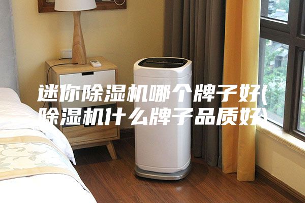 迷你除湿机哪个牌子好(除湿机什么牌子品质好)