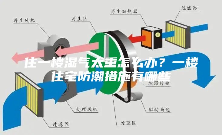 住一楼湿气太重怎么办？一楼住宅防潮措施有哪些
