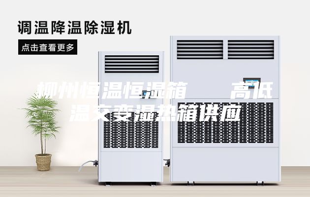 柳州恒温恒湿箱   高低温交变湿热箱供应