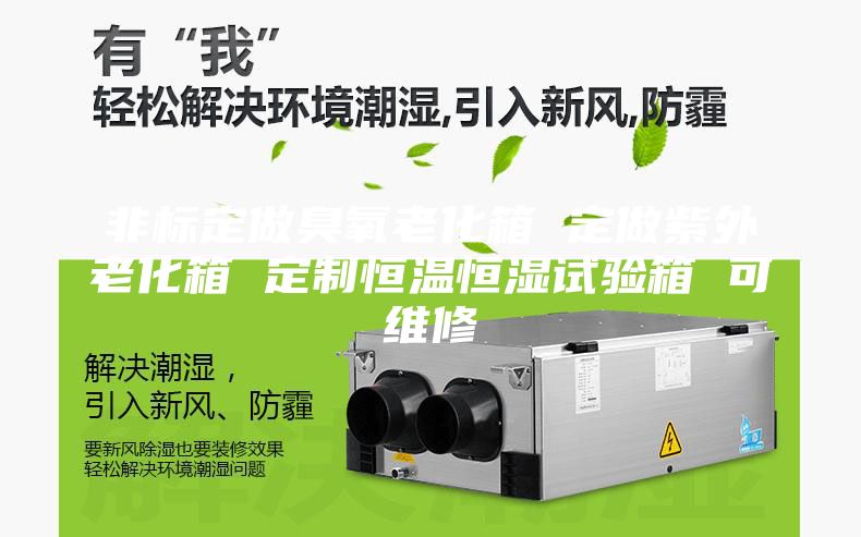 非标定做臭氧老化箱 定做紫外老化箱 定制恒温恒湿试验箱 可维修