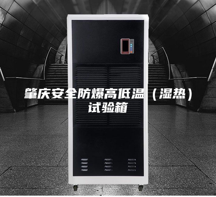 肇庆安全防爆高低温（湿热）试验箱