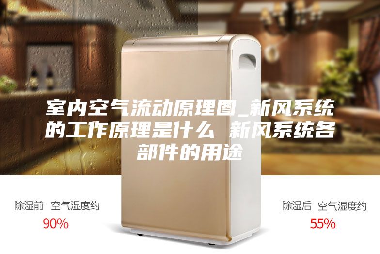 室内空气流动原理图_新风系统的工作原理是什么 新风系统各部件的用途