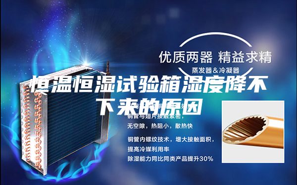 恒温恒湿试验箱湿度降不下来的原因