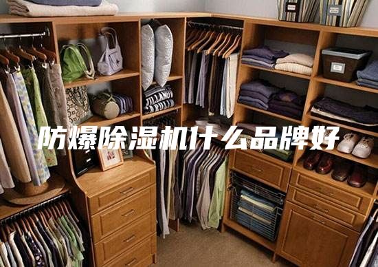 防爆除湿机什么品牌好