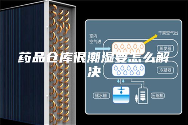 药品仓库很潮湿要怎么解决