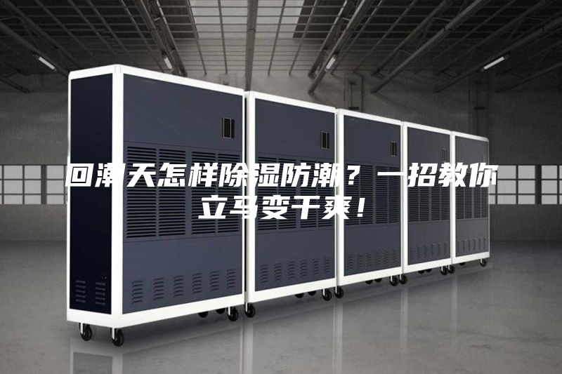 回潮天怎样除湿防潮？一招教你立马变干爽！