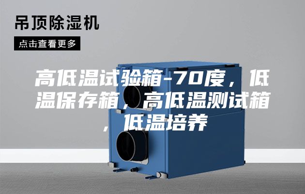 高低温试验箱-70度，低温保存箱，高低温测试箱，低温培养