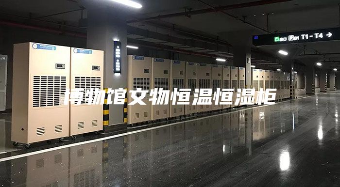博物馆文物恒温恒湿柜