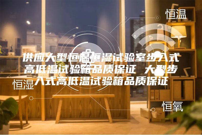 供应大型恒温恒湿试验室步入式高低温试验箱品质保证 大型步入式高低温试验箱品质保证