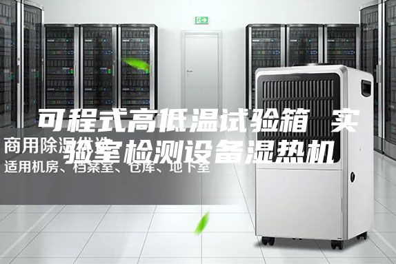 可程式高低温试验箱 实验室检测设备湿热机