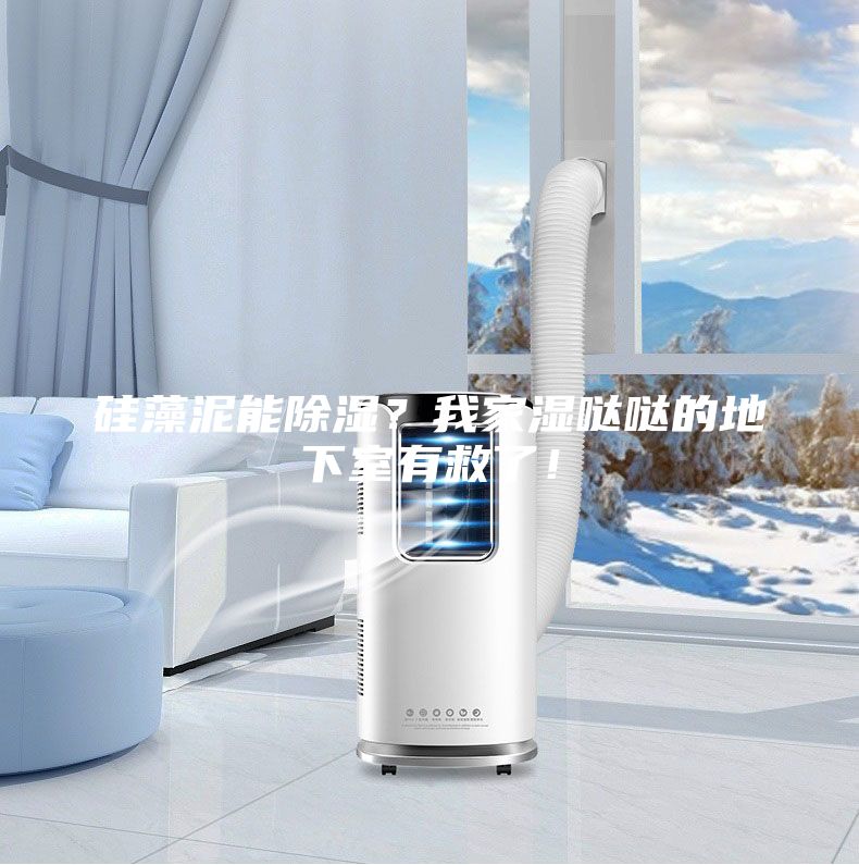 硅藻泥能除湿?我家湿哒哒的地下室有救了!
